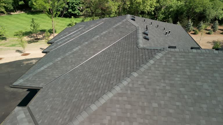 Best Skylight Installation and Repair  in Cahokia, IL