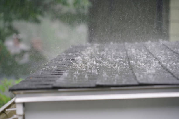 Best Roof Maintenance and Cleaning  in Cahokia, IL